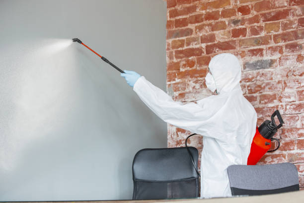 Best Asbestos and Lead Testing During Mold Inspection  in Vassar, MI