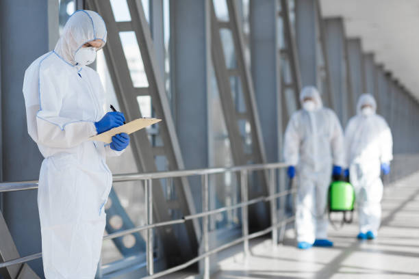 Best Residential Mold Inspection & Testing  in Vassar, MI