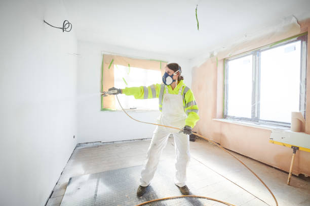 Best Water Damage & Mold Remediation  in Vassar, MI