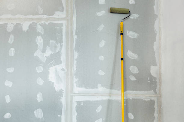 Best Mold Documentation for Insurance Claims  in Vassar, MI
