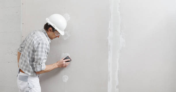  Vassar, MI Mold Removal Pros