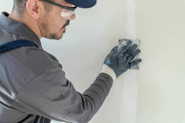 Biohazard Mold Removal in Vassar, MI
