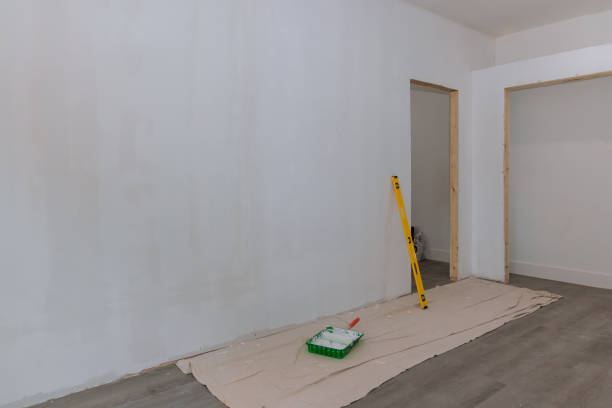 Best Post-Construction Mold Inspection  in Vassar, MI